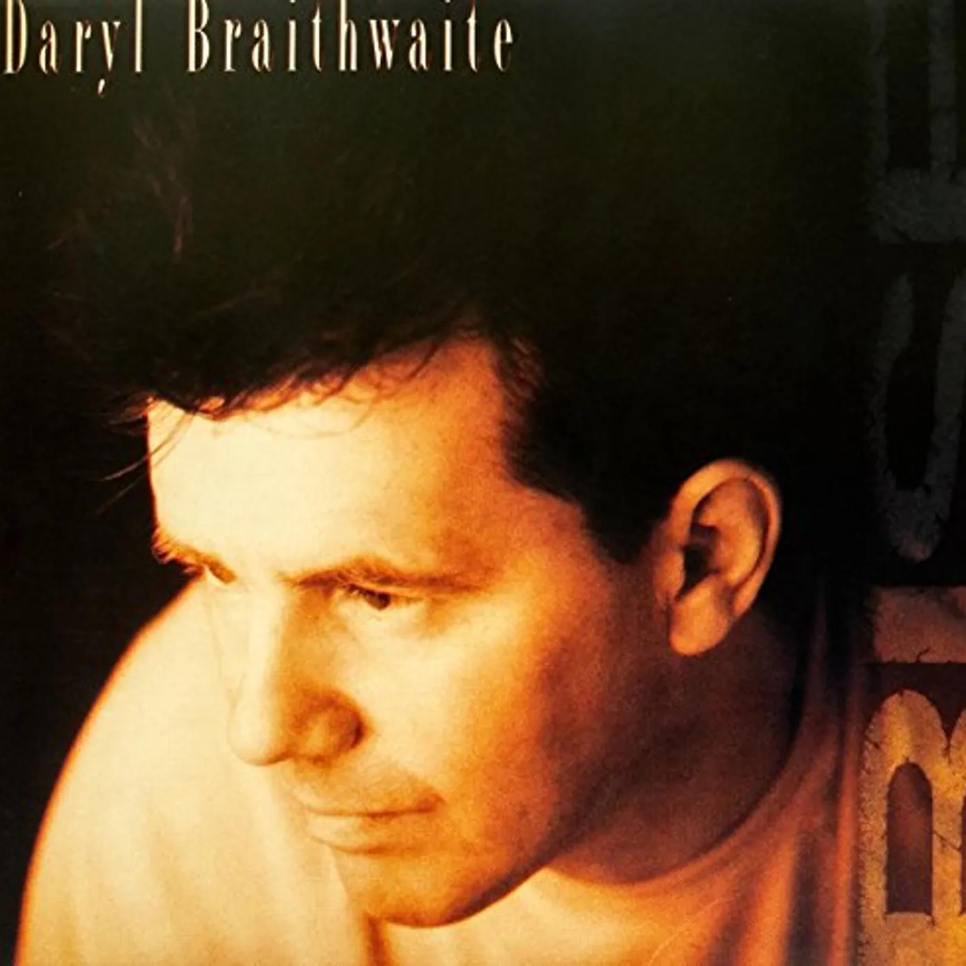 Daryl Braithwaite Rise Vinyl Record