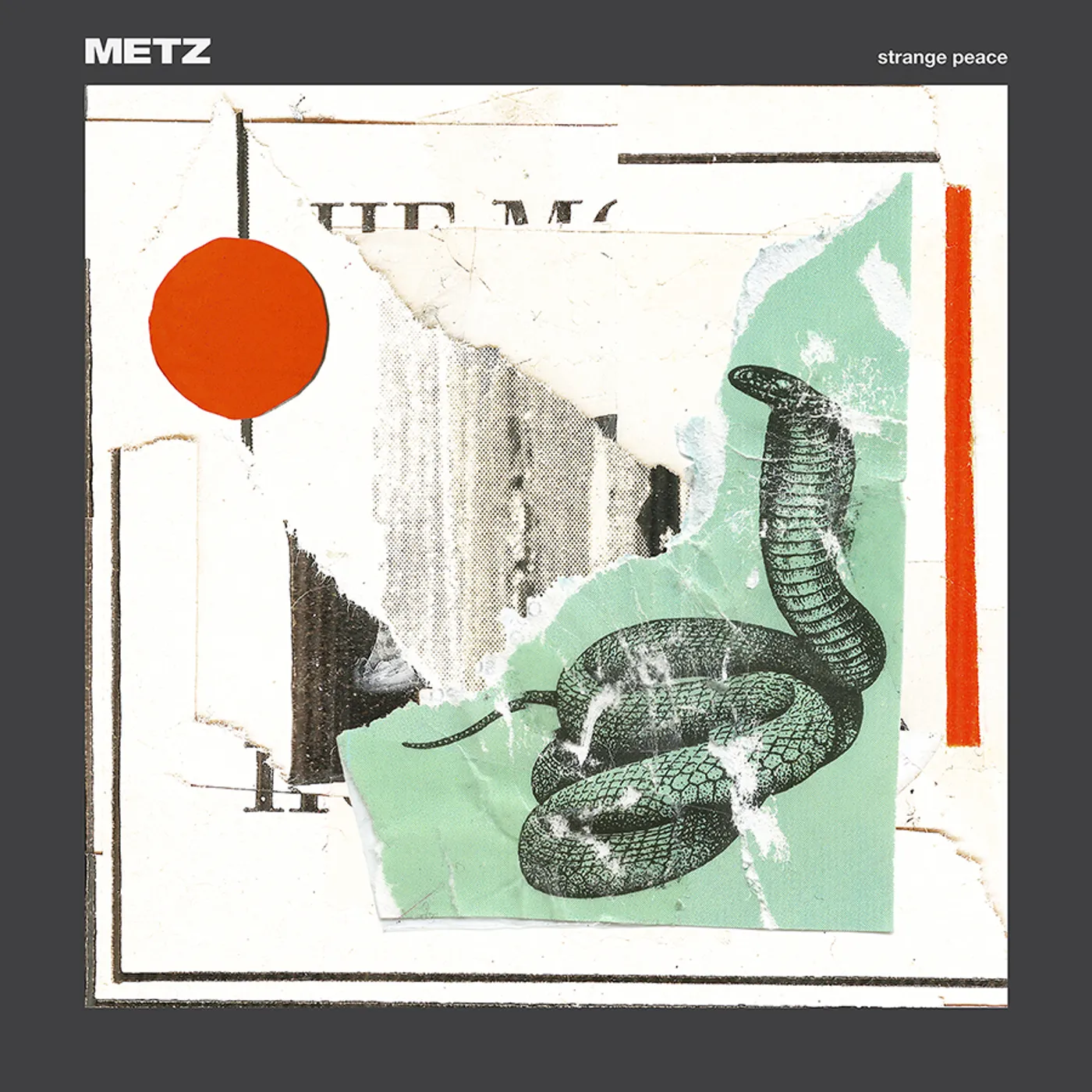 Metz Strange Peace Vinyl Record