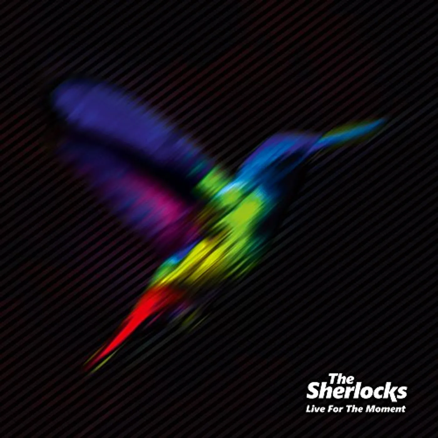 The Sherlocks Live for the Moment Vinyl Record