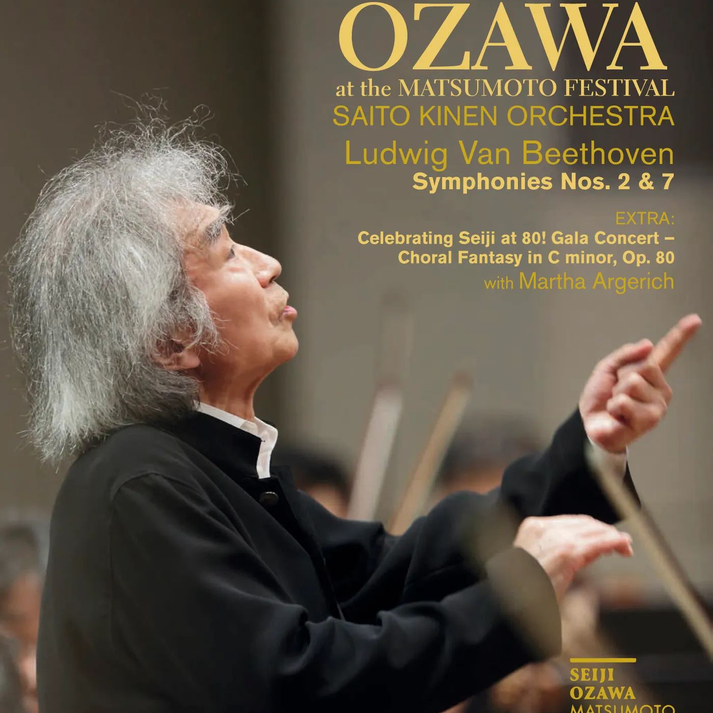 SEIJI OZAWA AT THE MATSUMOTO FESTIVAL DVD