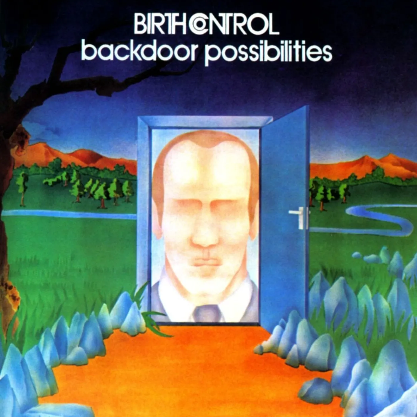 Birth Control BACKDOOR POSSIBILITIES + FIGURE OUT THE WEATHER Vinyl Record