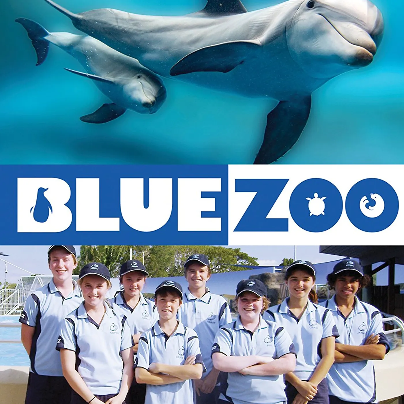 BLUE ZOO DVD