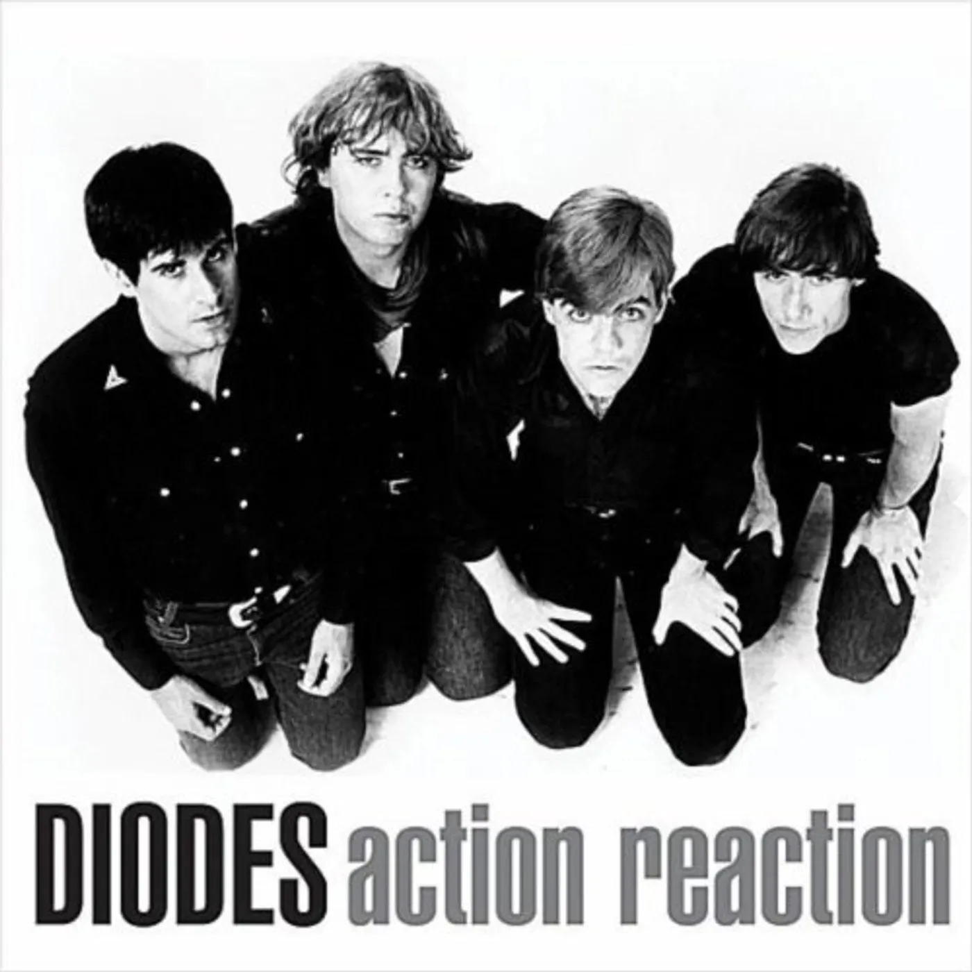 The Diodes ACTION / REACTION Vinyl Record