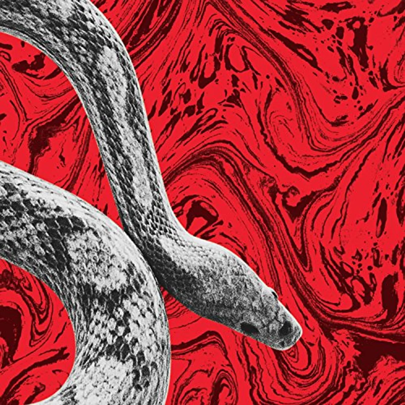 Noah Gundersen CALIFORNIA / ALL YOUR LOVE Vinyl Record