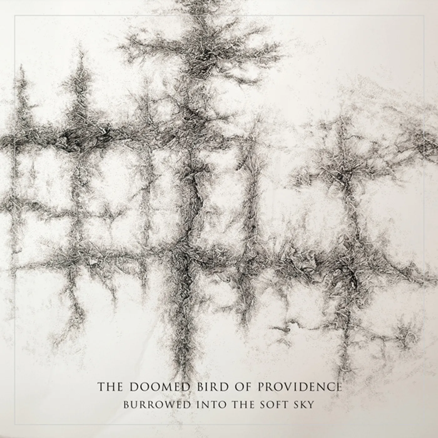 The Doomed Bird of Providence Burrowed Into the Soft Sky Vinyl Record