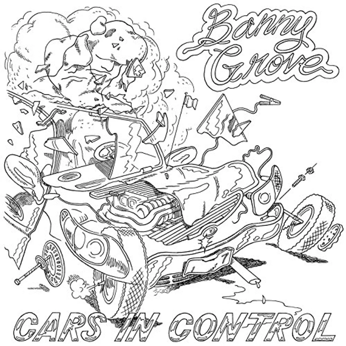 Banny Grove Cars in Control Vinyl Record