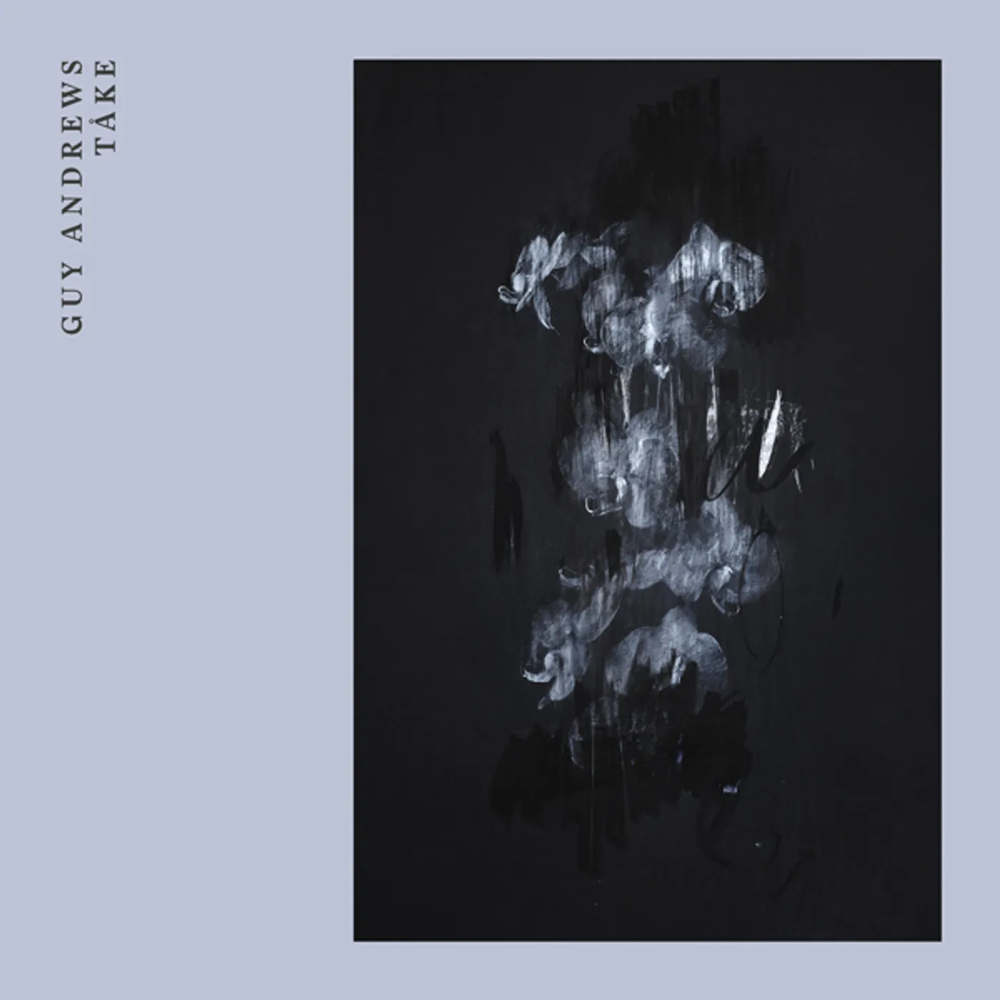 Guy Andrews Take Vinyl Record