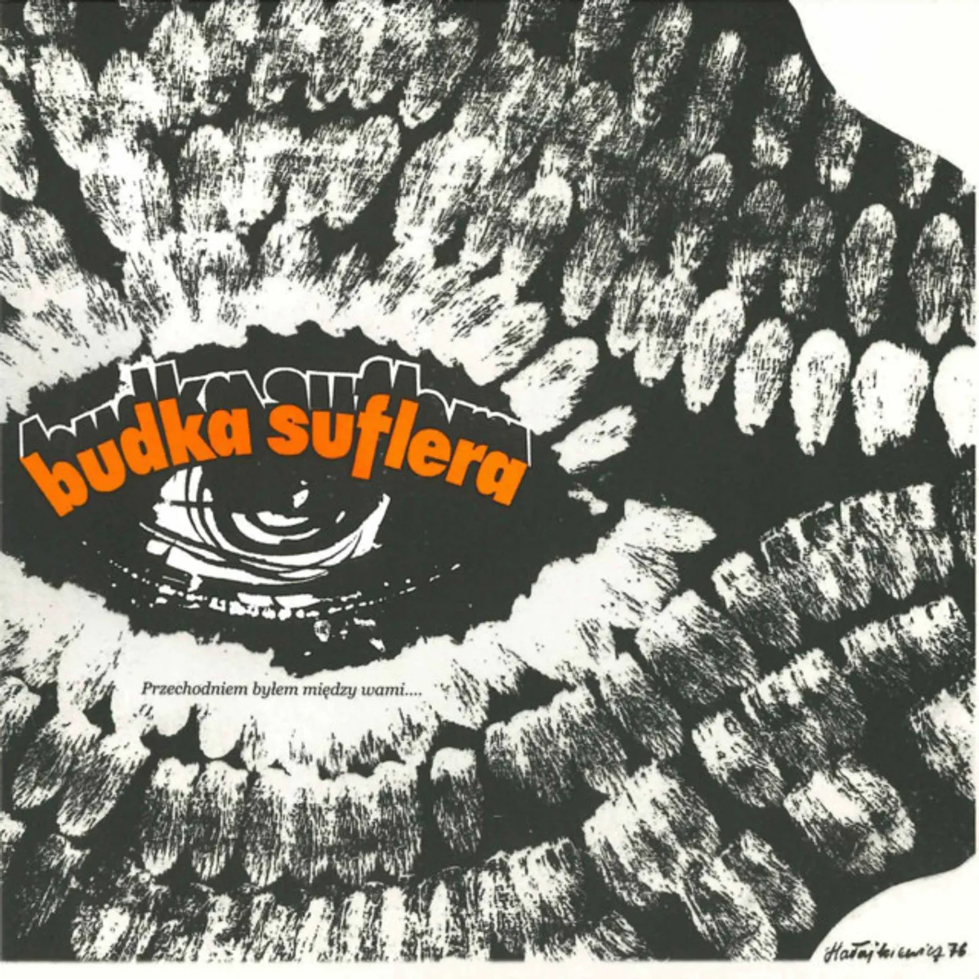 Budka Suflera PRZECHODNIEM BYLEM MIEDZY WAMI Vinyl Record