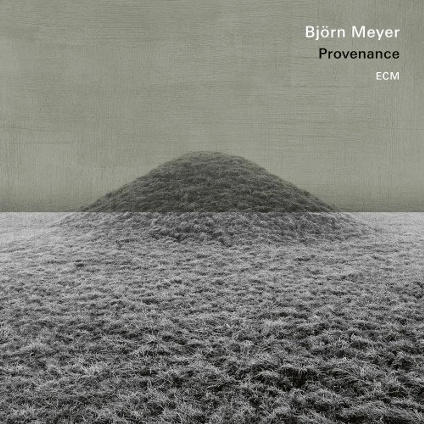 Björn Meyer PROVENANCE Vinyl Record