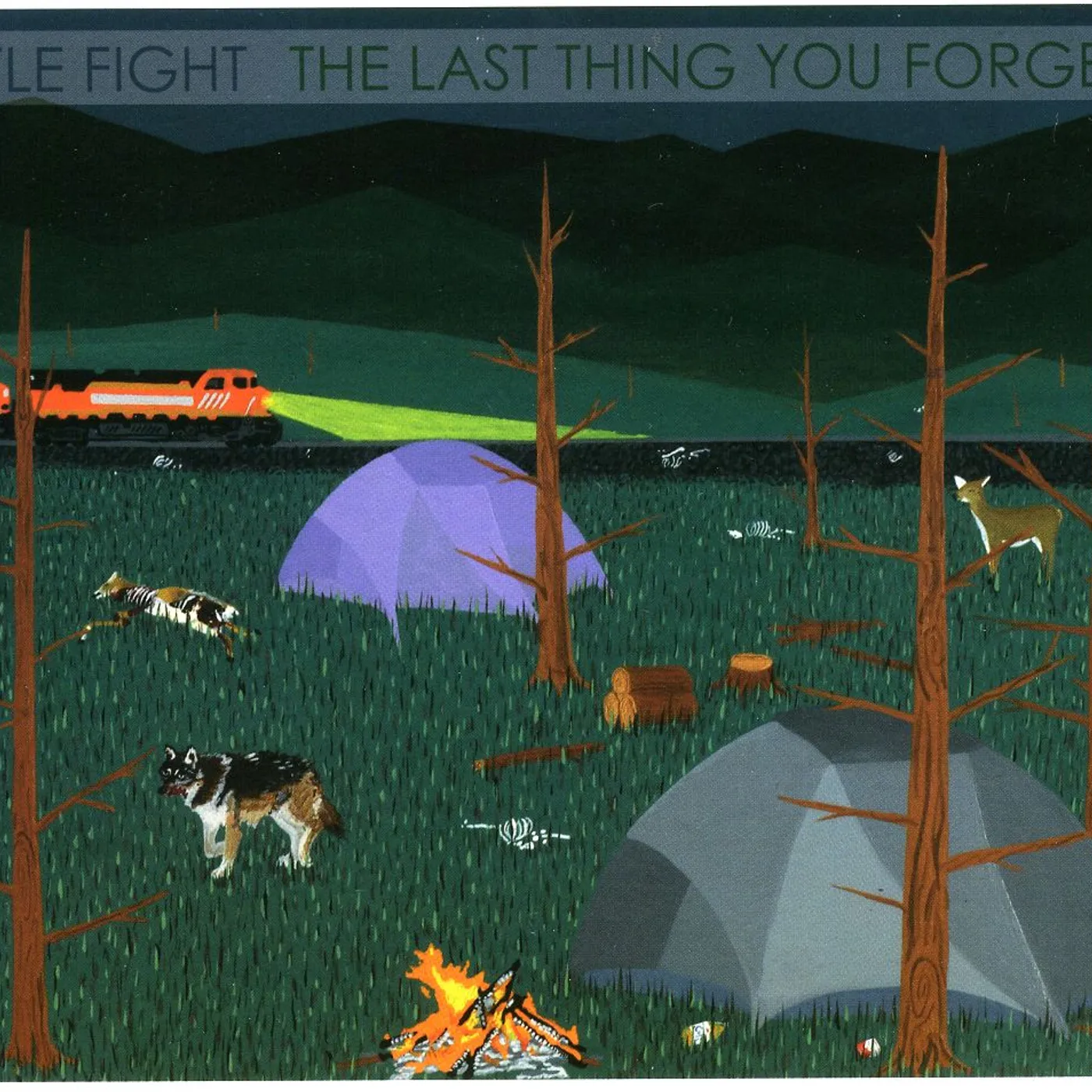 Title Fight Last Thing You Forget Vinyl Record