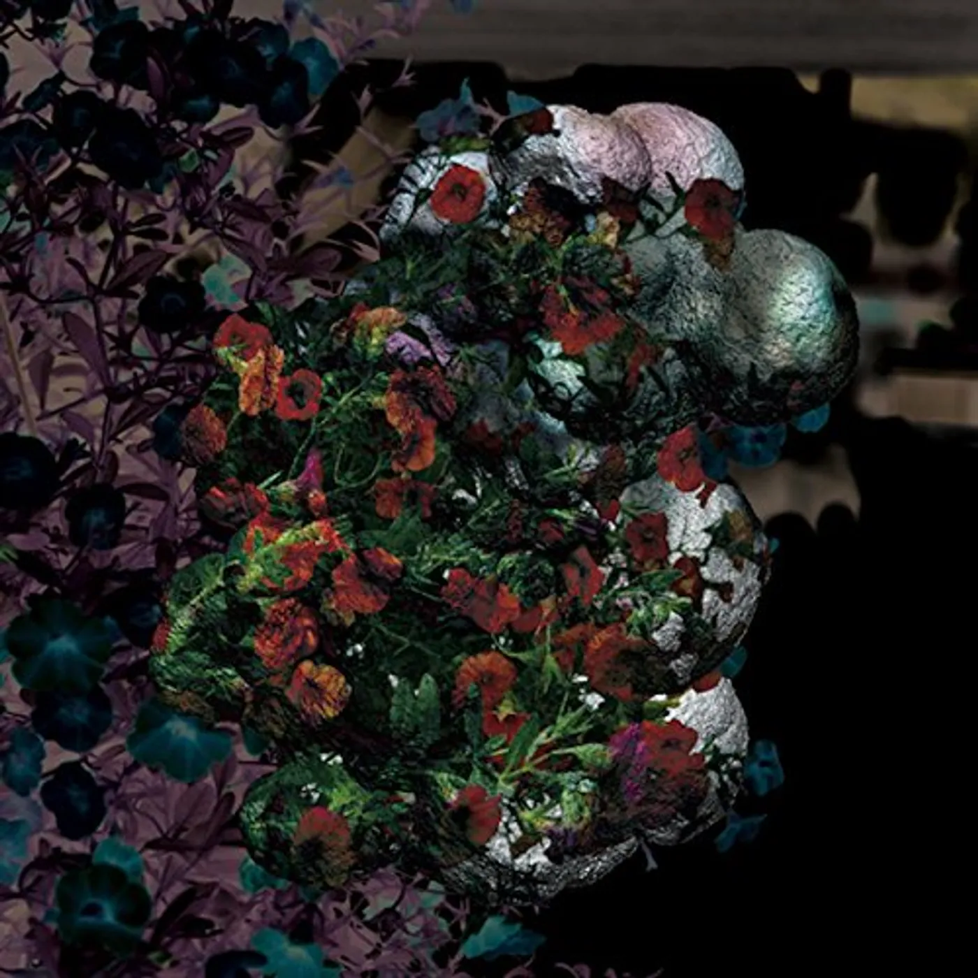 Blondes Warmth Vinyl Record