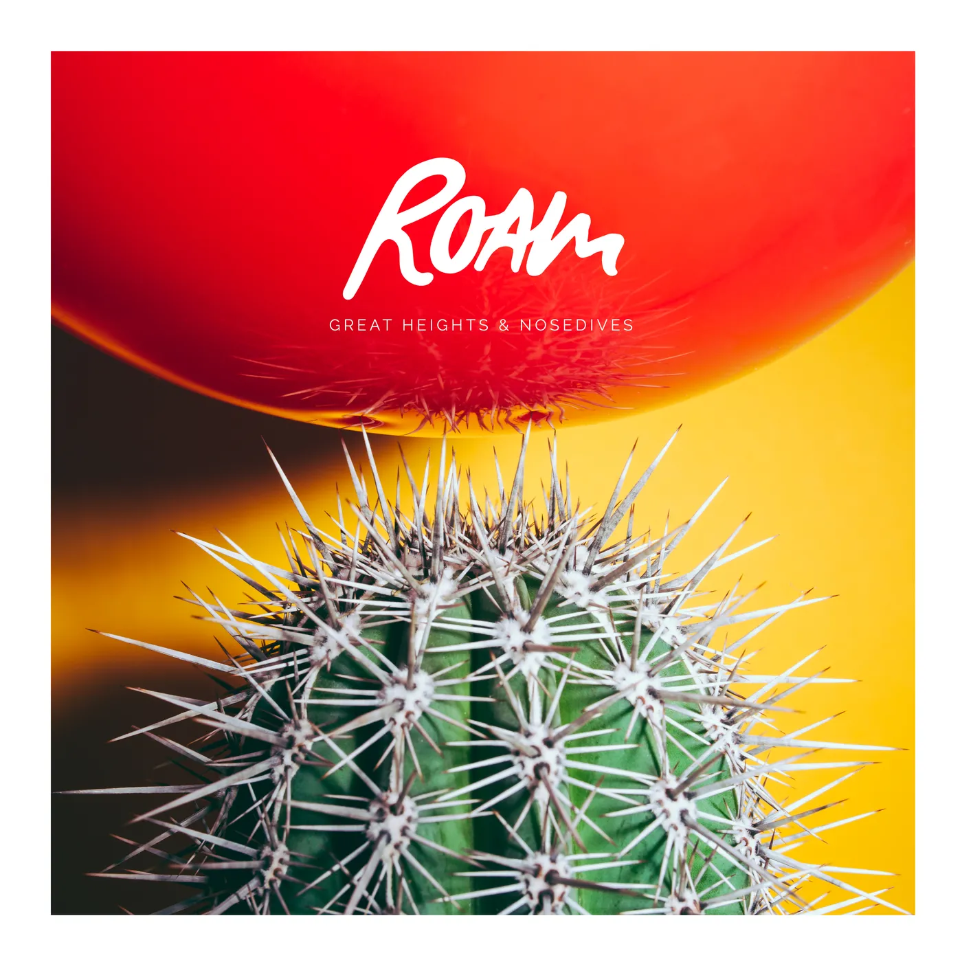 ROAM Great Heights & Nosedives Vinyl Record