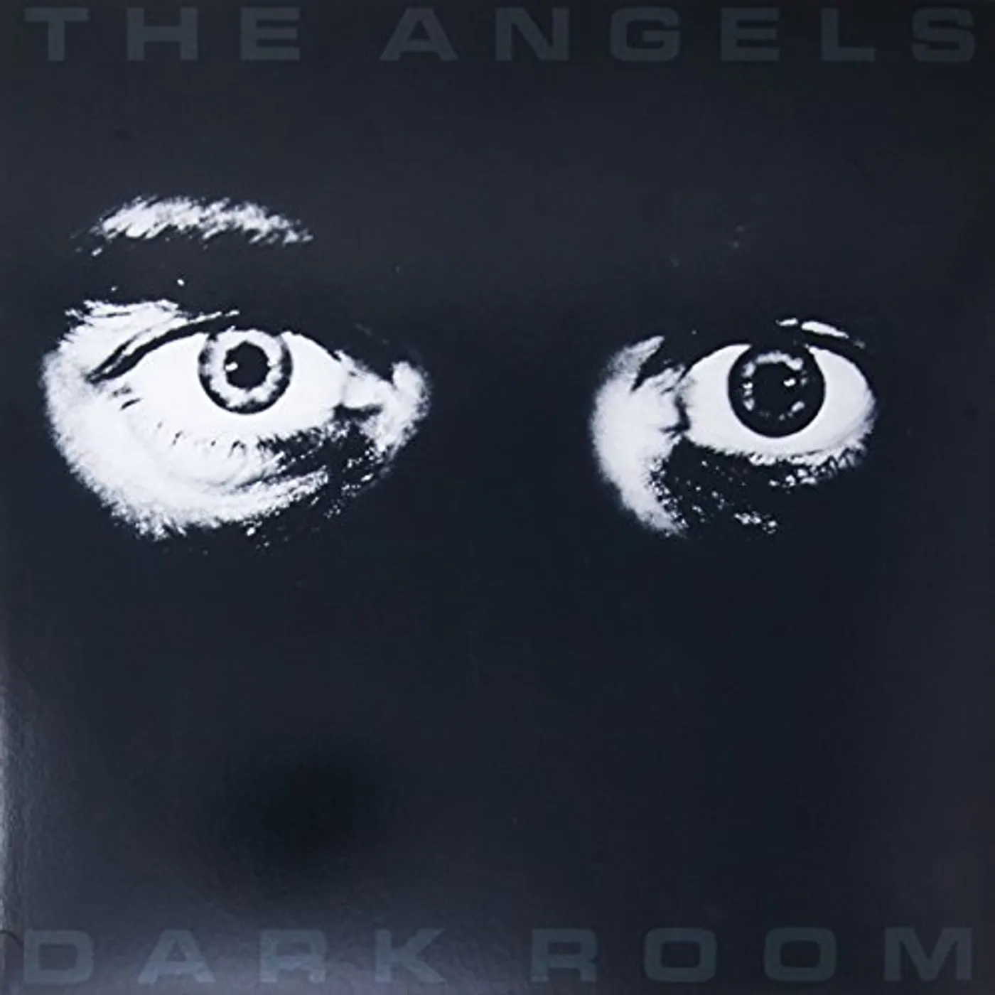 Angels DARK ROOM Vinyl Record