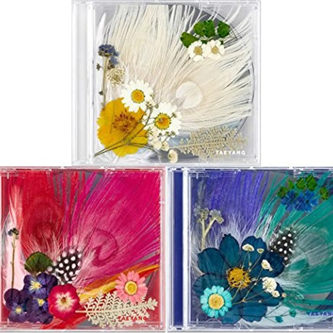 TAEYANG WHITE NIGHT CD