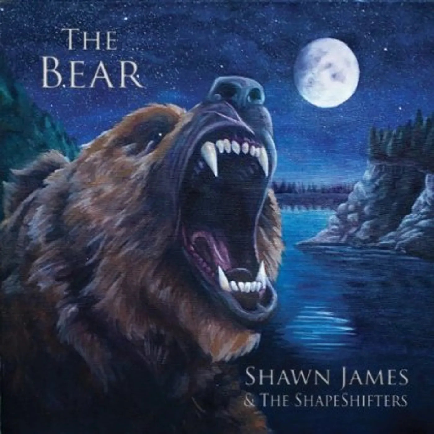 Shawn James & the Shapeshifters BEAR CD