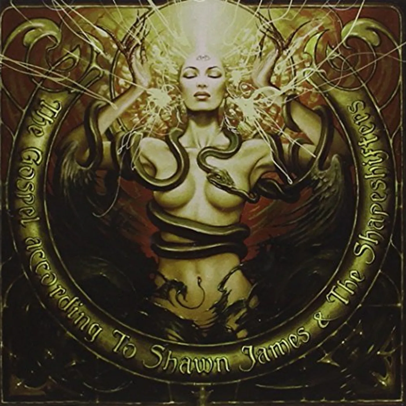 Shawn James & the Shapeshifters GOSPEL ACCORDING TO SHAWN JAMES CD