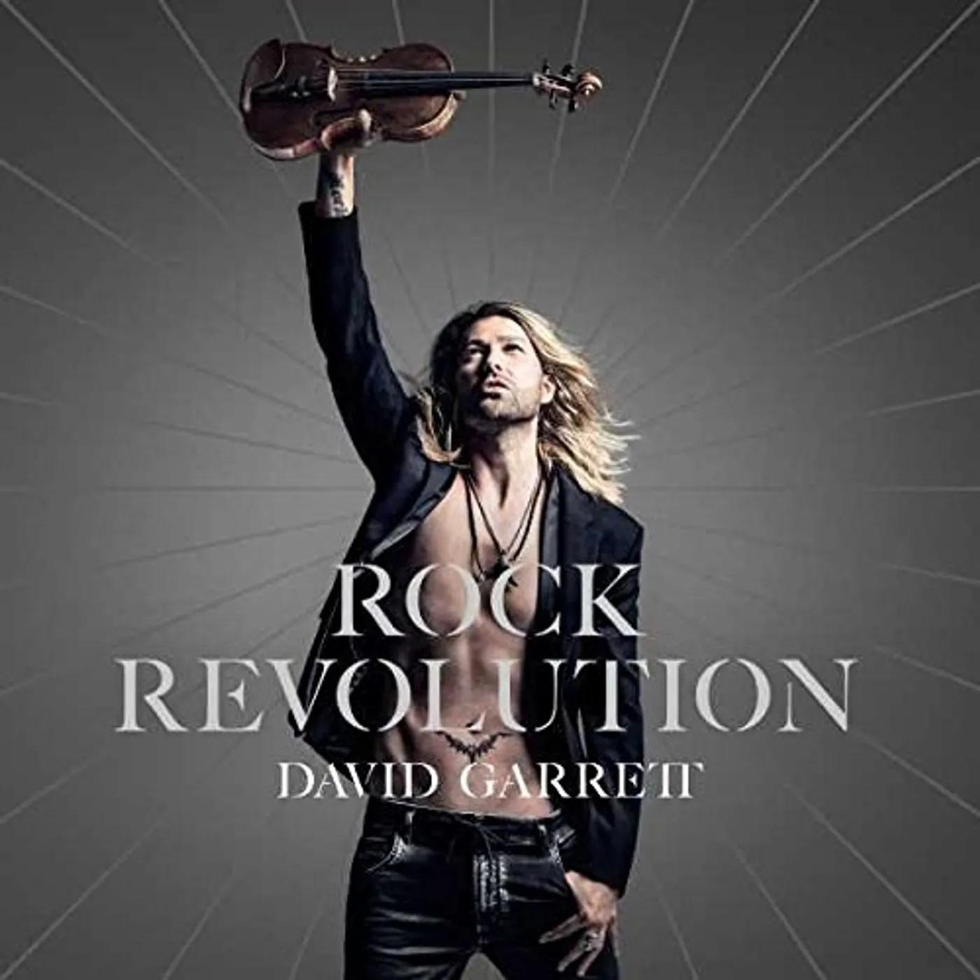 David Garrett Rock Revolution Vinyl Record