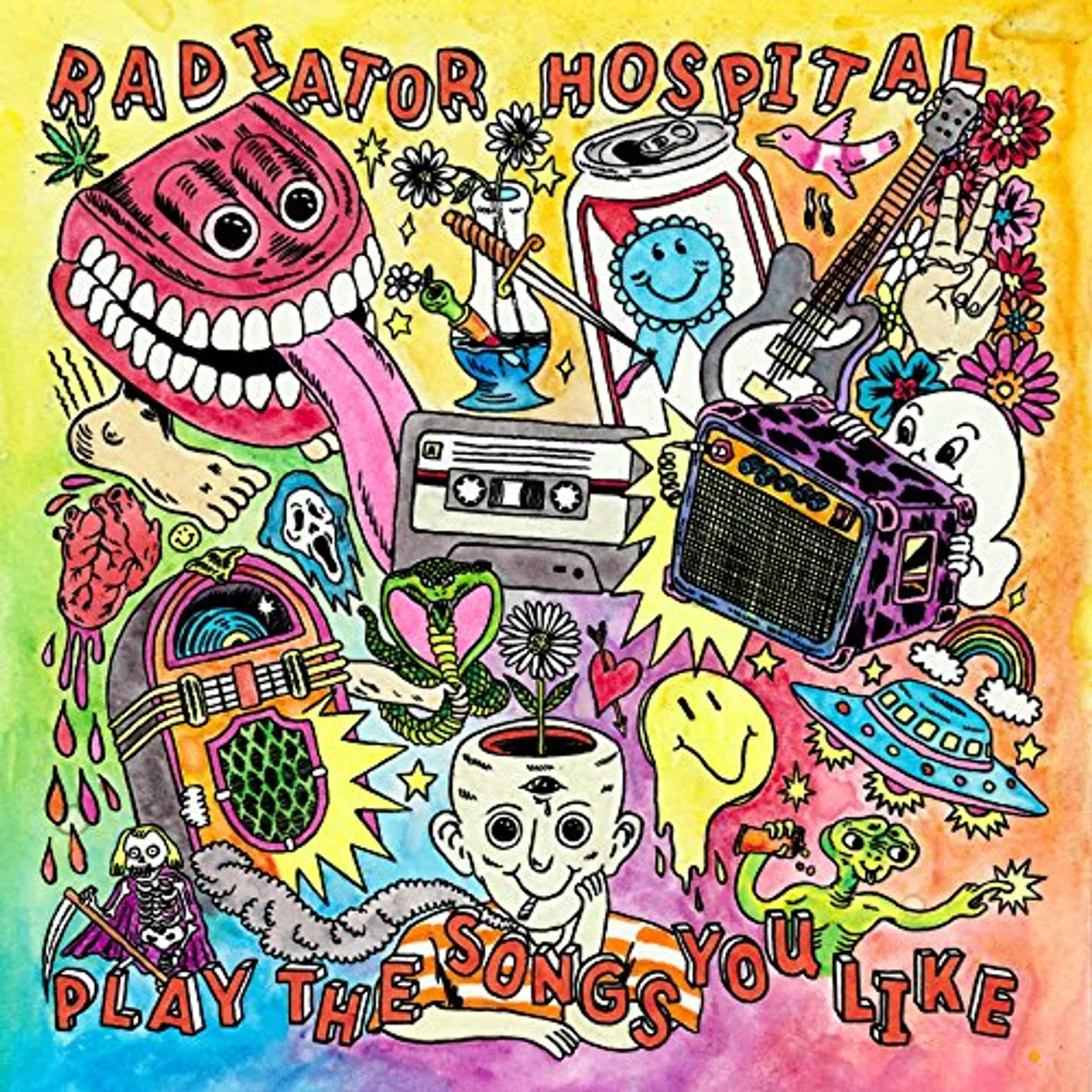 Radiator Hospital Play the Songs You Like Vinyl Record