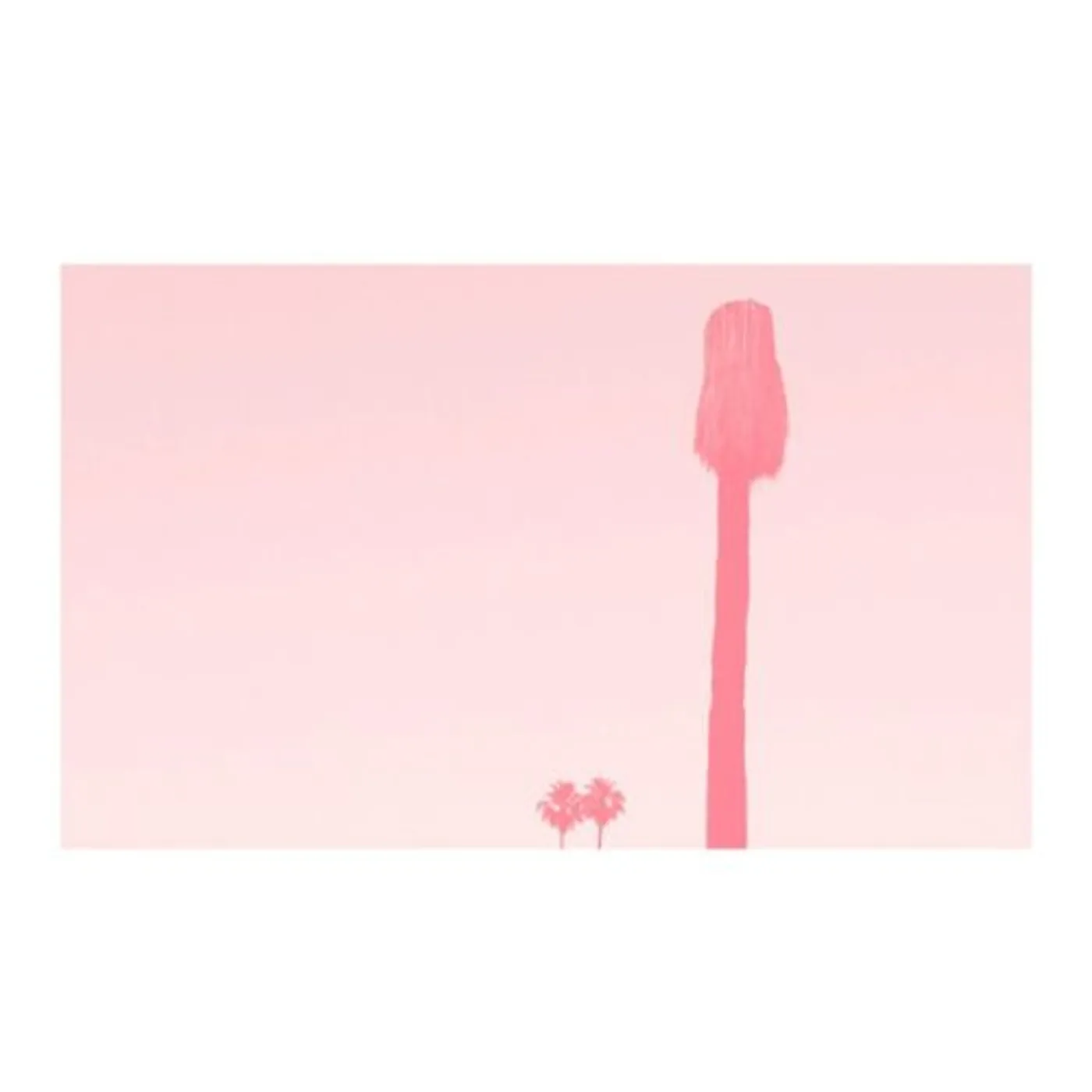 Pinkcourtesyphone RAVISHMENT OF MIRROR (WHITE VINYL) Vinyl Record