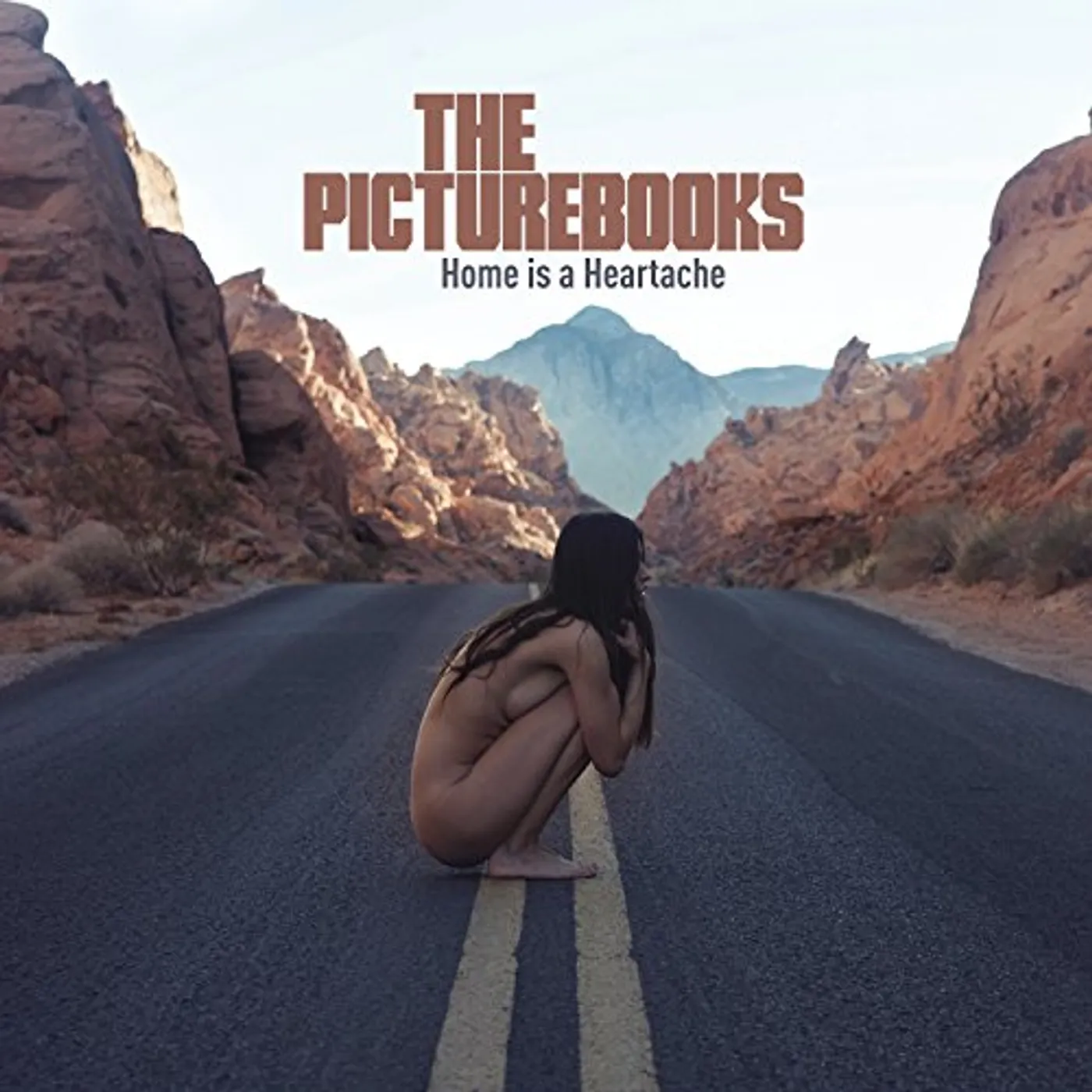 The Picturebooks Home Is a Heartache Vinyl Record