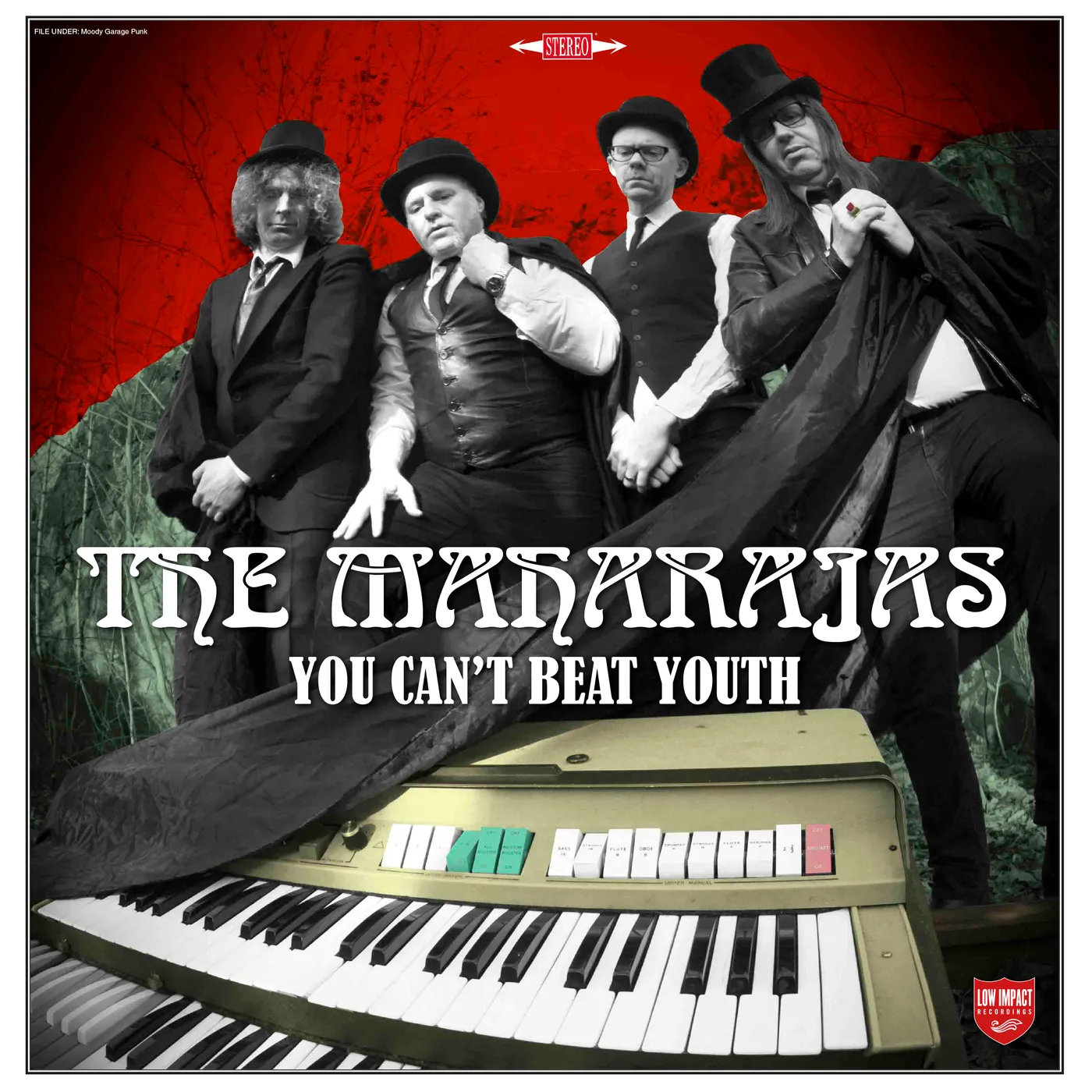 The Maharajas You Can't Beat Youth Vinyl Record