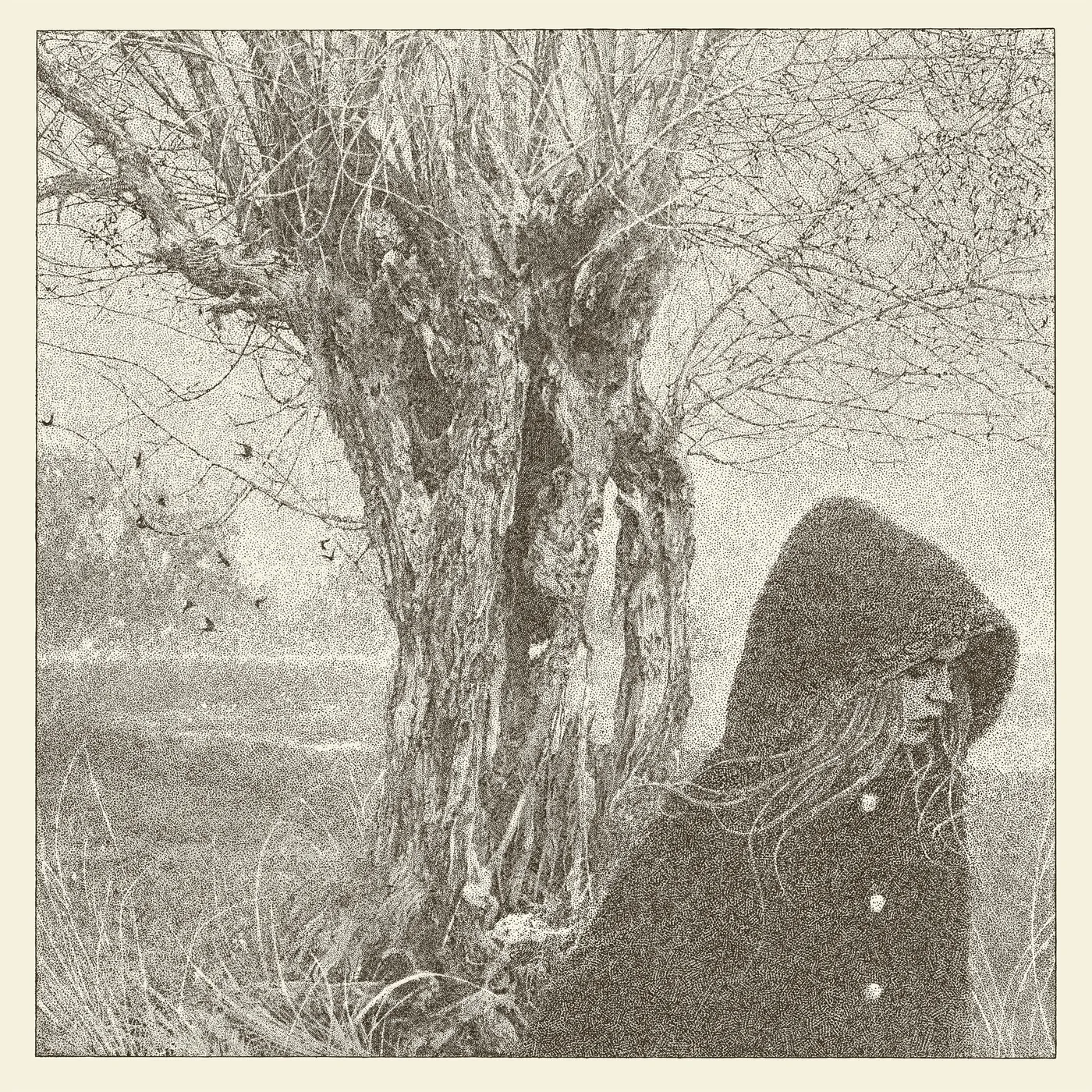 Lankum BETWEEN THE EARTH & SKY CD