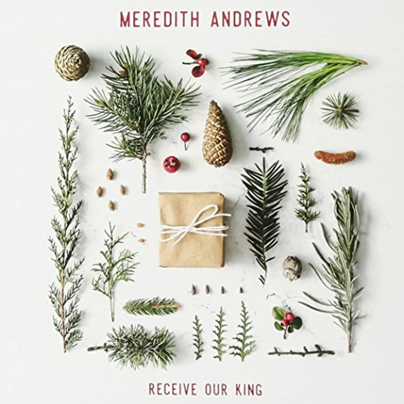 Meredith Andrews RECEIVE OUR KING CD