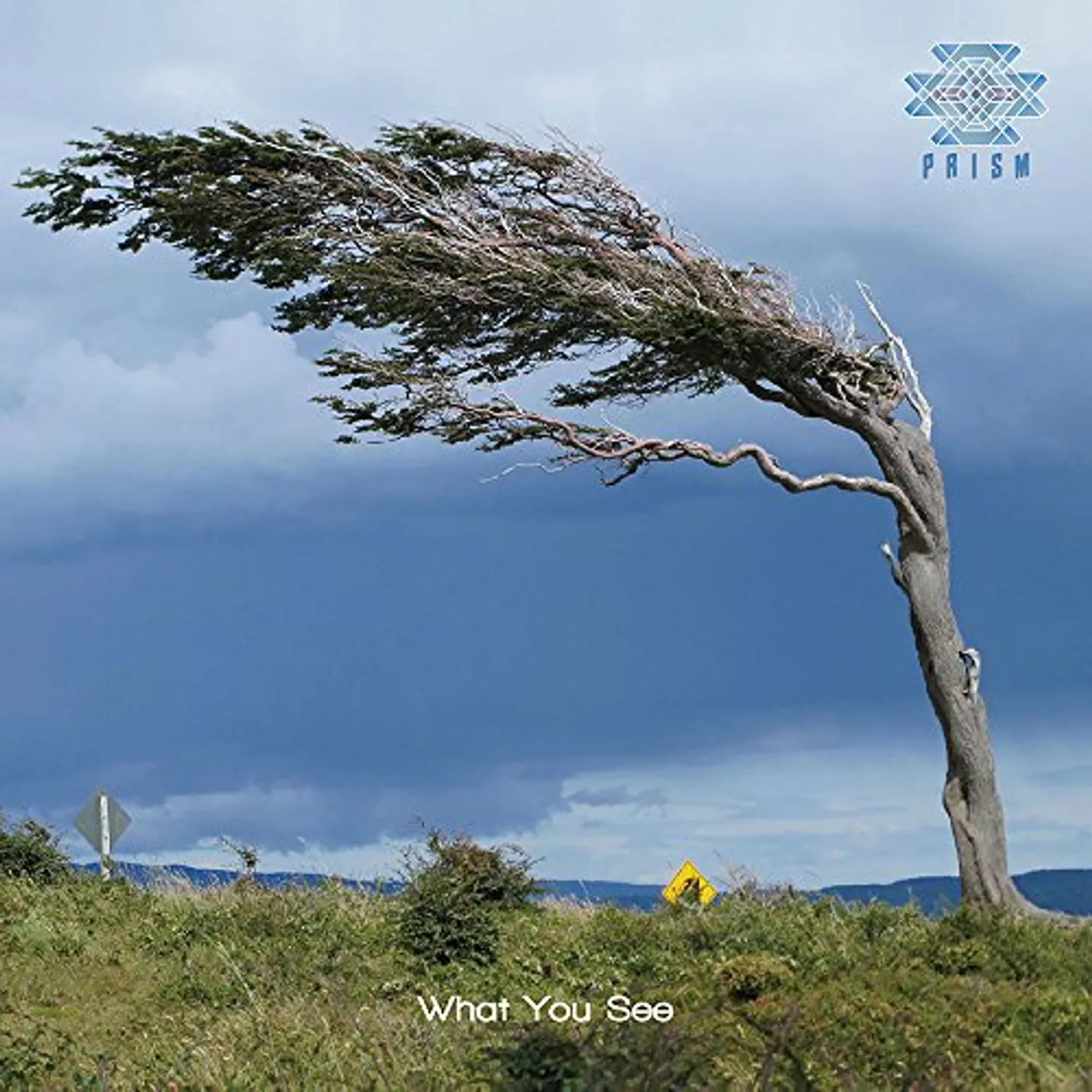 Prism WHAT YOU SEE CD