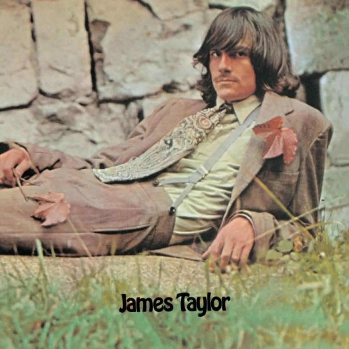 James Taylor Vinyl Record