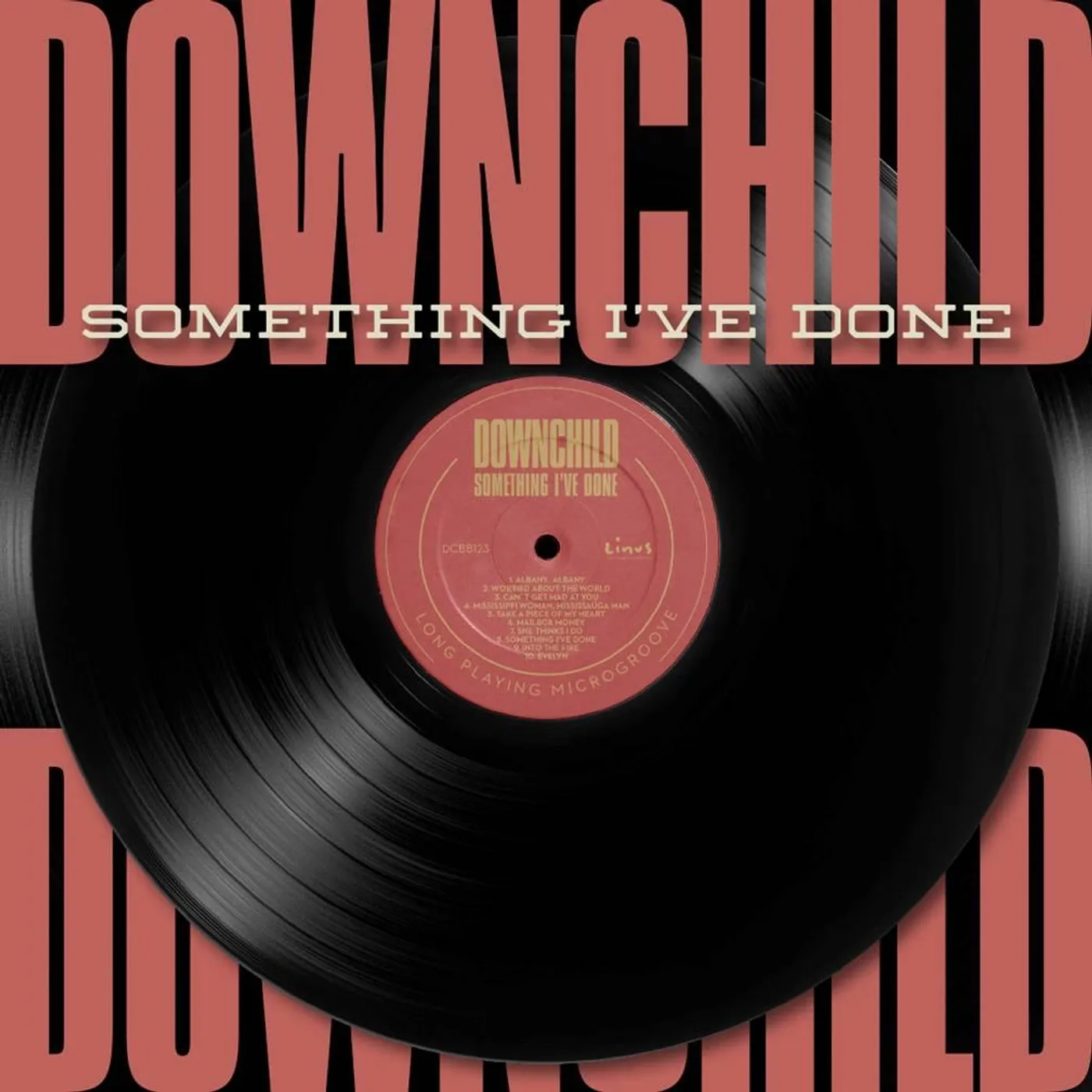 Downchild SOMETHING I'VE DONE CD
