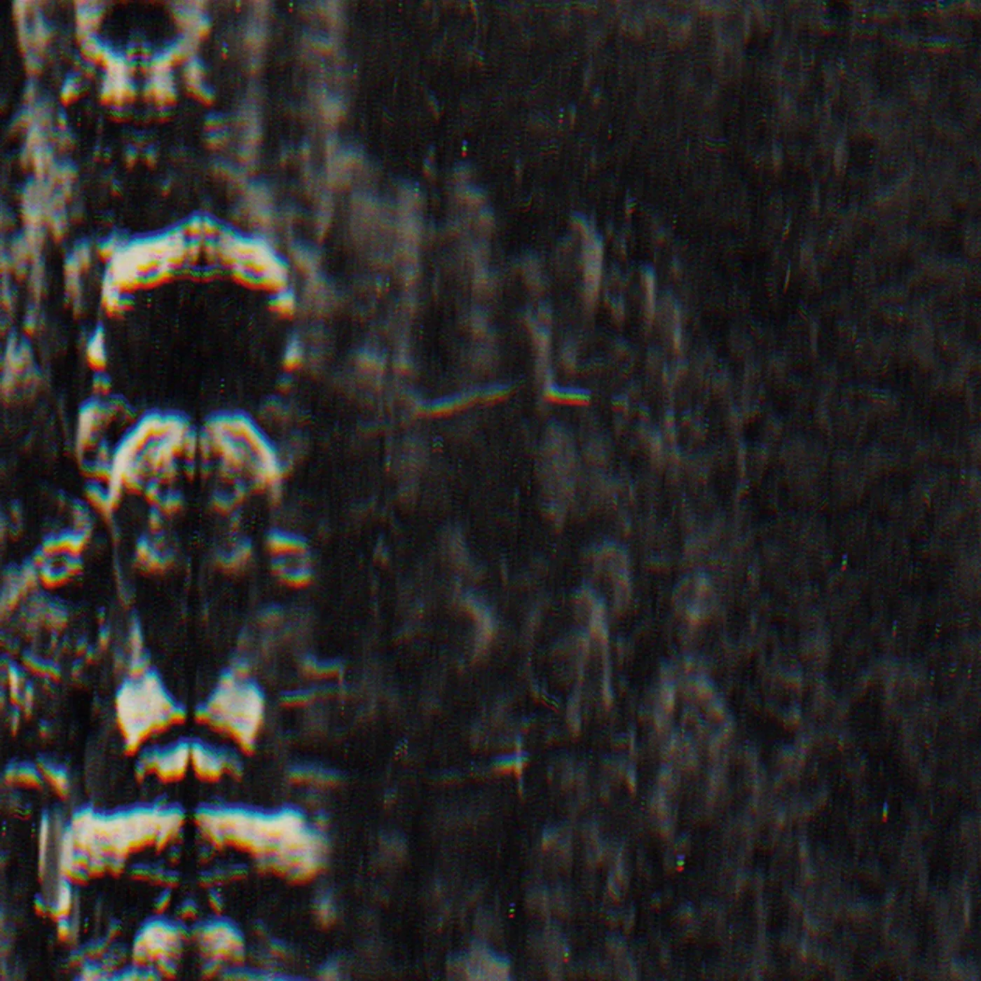 O Morto FOREST PEOPLE & SPIRITS Vinyl Record