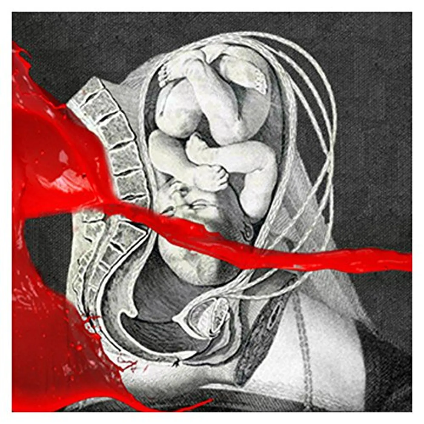 IAMX UNIFIED FIELD CD