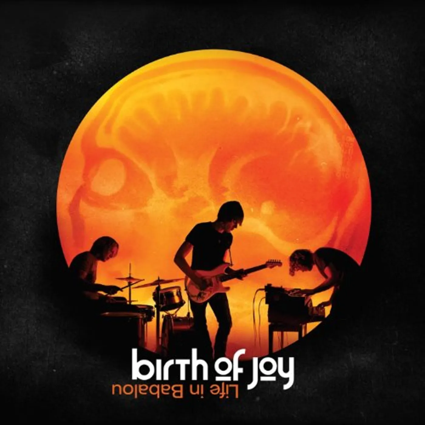 Birth Of Joy Life in Babalou Vinyl Record