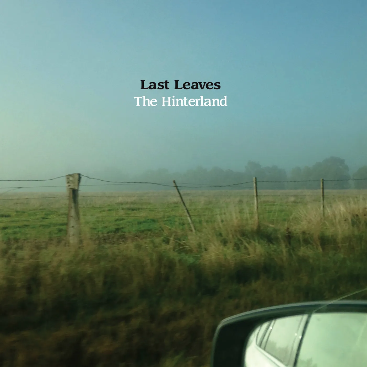 Last Leaves HINTERLAND Vinyl Record