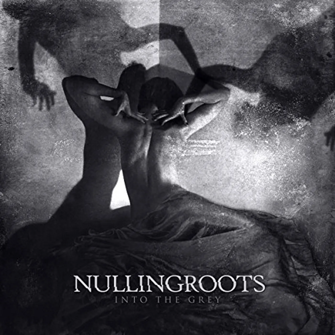 Nullingroots Into the Grey Vinyl Record