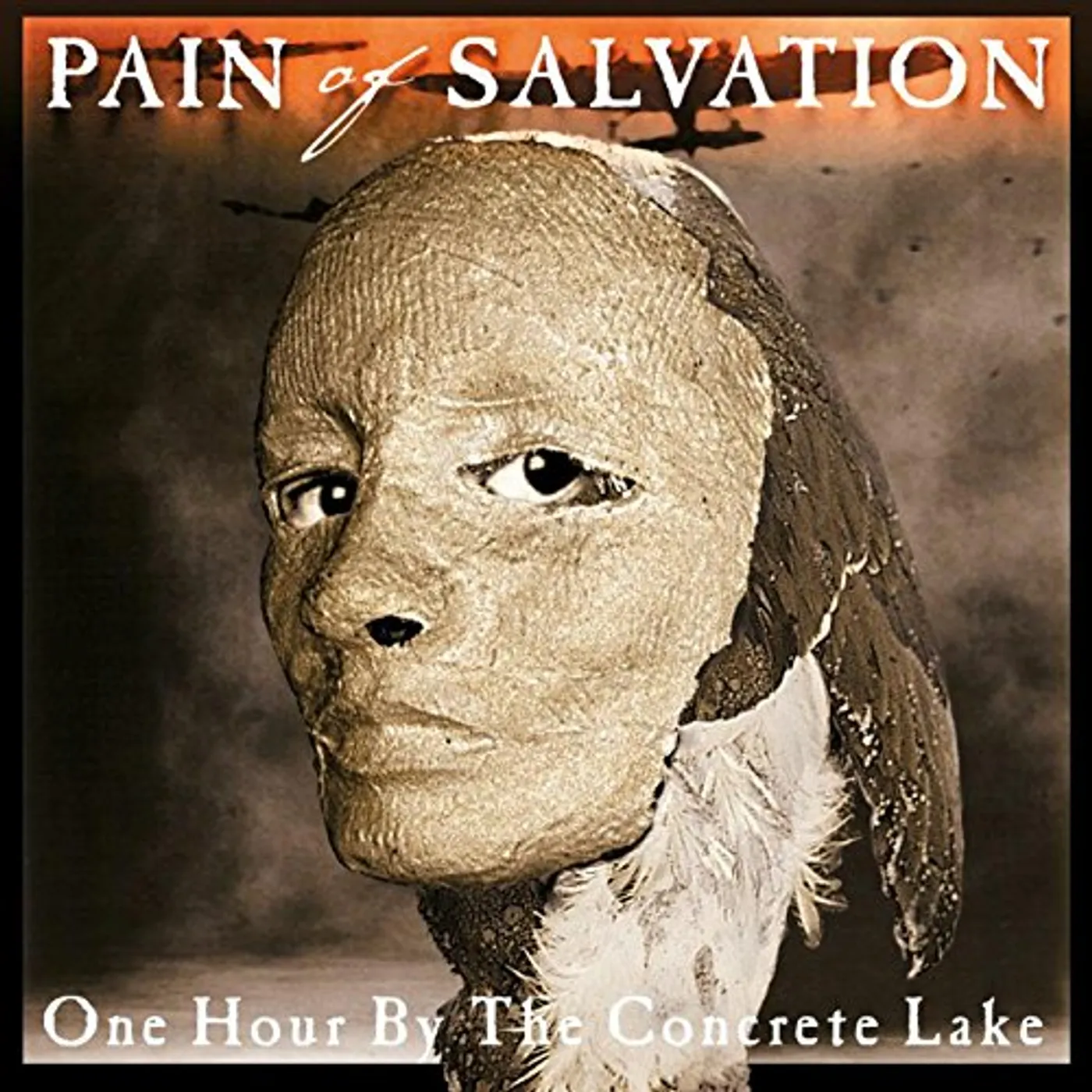 Pain of Salvation One Hour By the Concrete Lake Vinyl Record