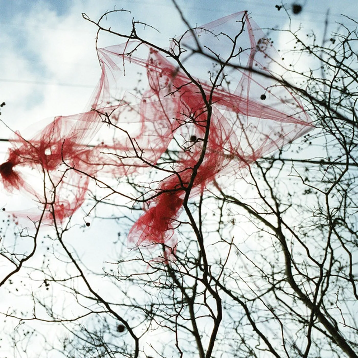 All People Vinyl Record