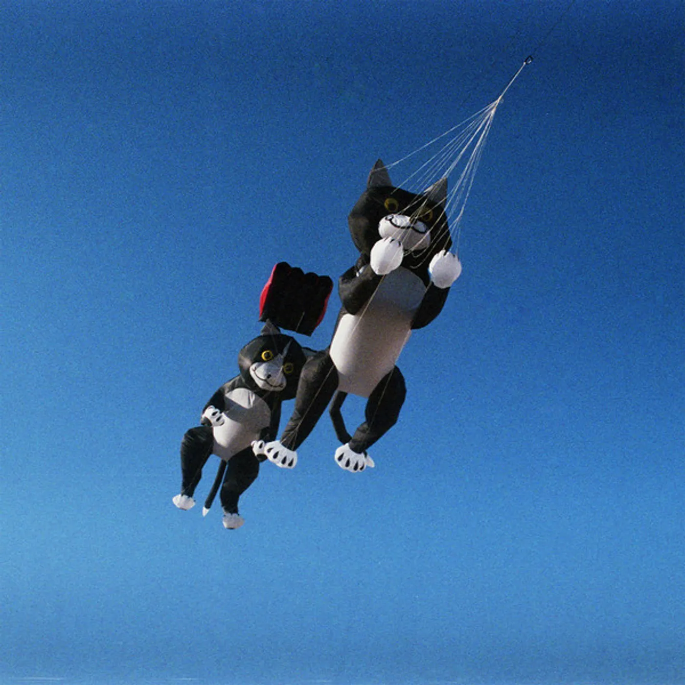 Pope TRUE TALENT CHAMPION Vinyl Record