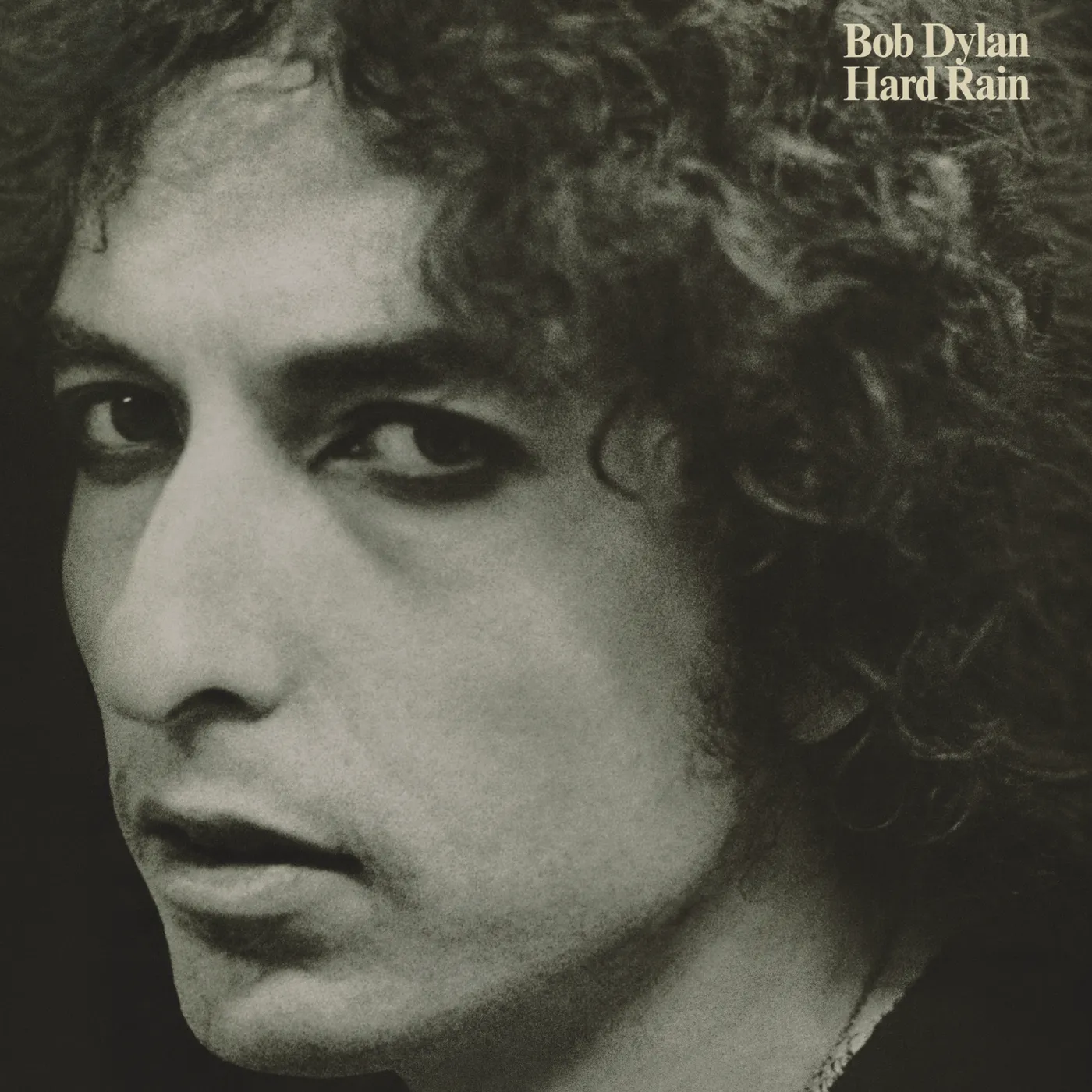 Bob Dylan Hard Rain Vinyl Record
