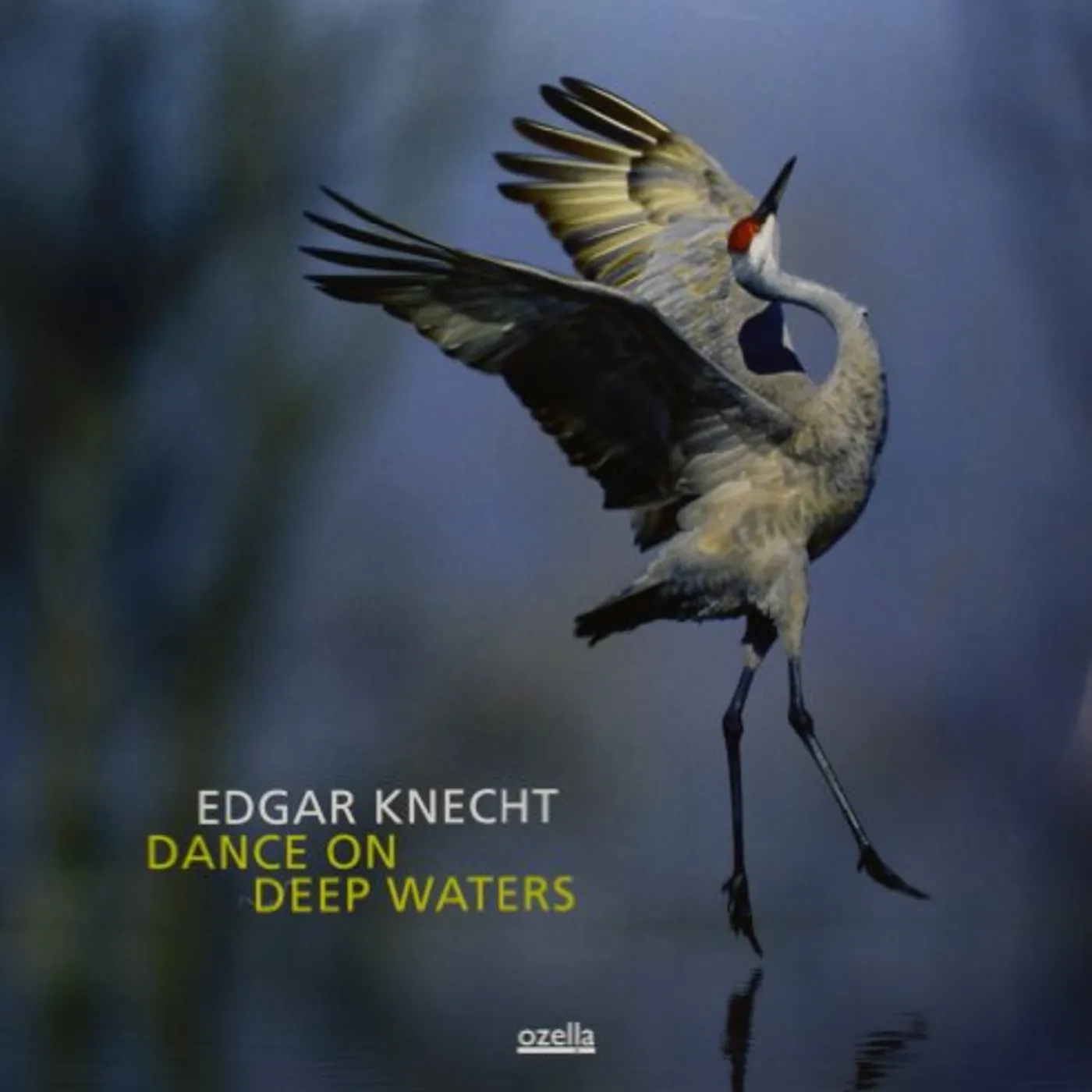 Edgar KnechtKNECHT,EDGAR Vinyl Record