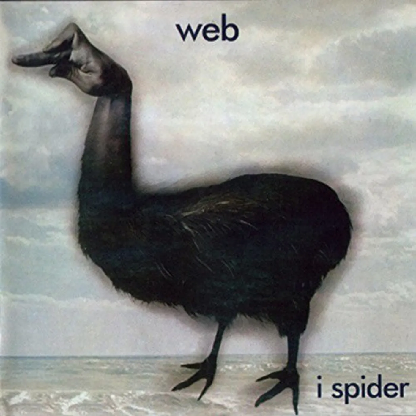 Web I SPIDER CD