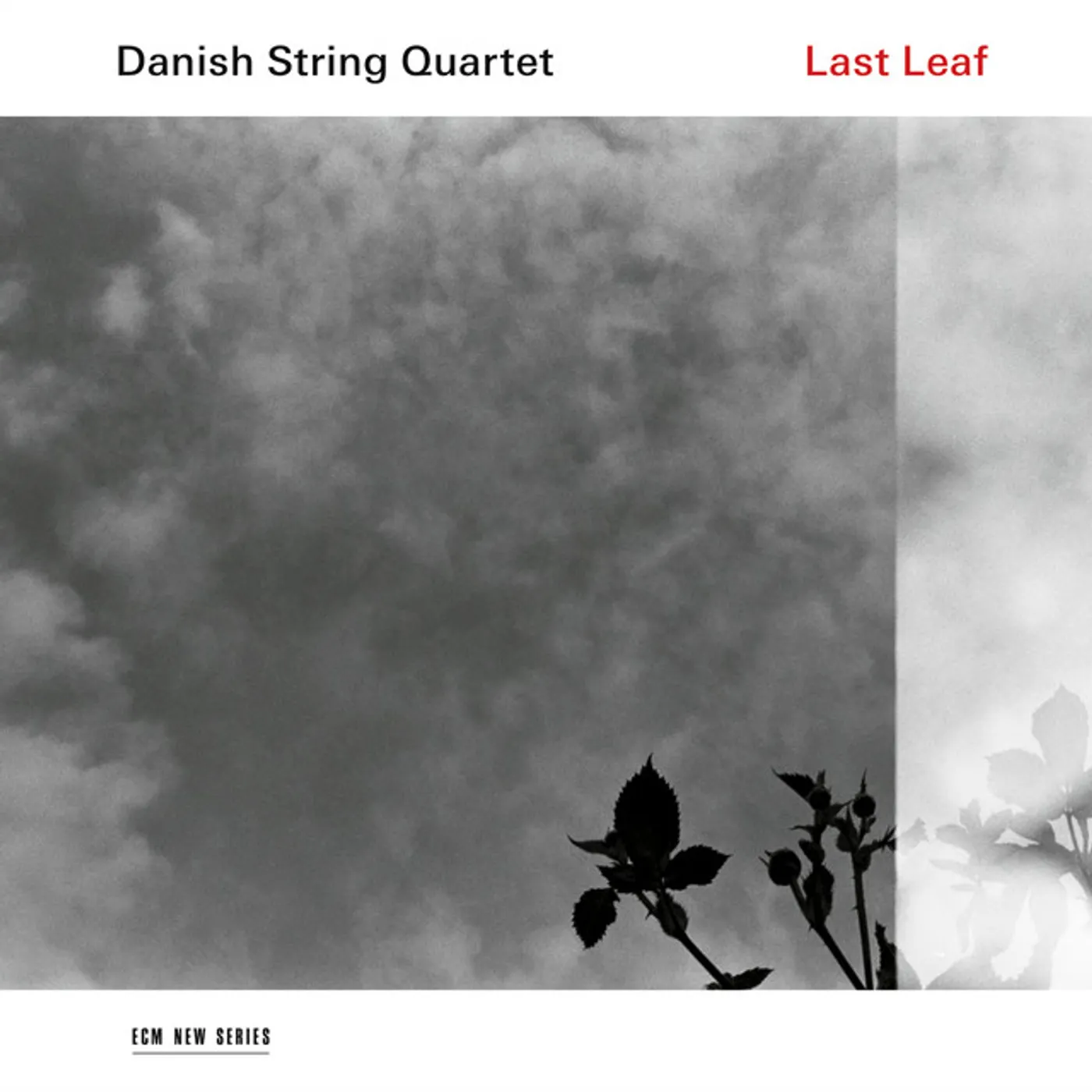 Danish String Quartet Last Leaf Vinyl Record