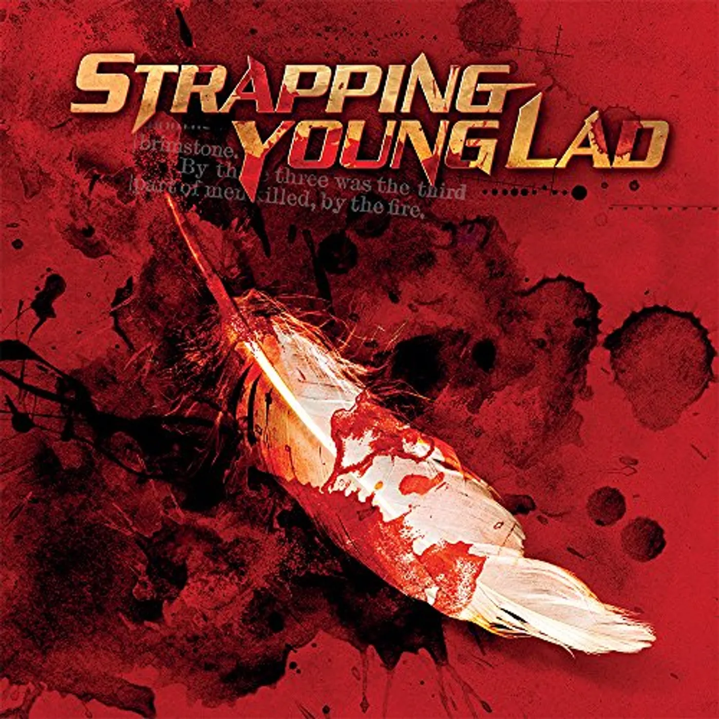 Strapping Young Lad SYL Vinyl Record