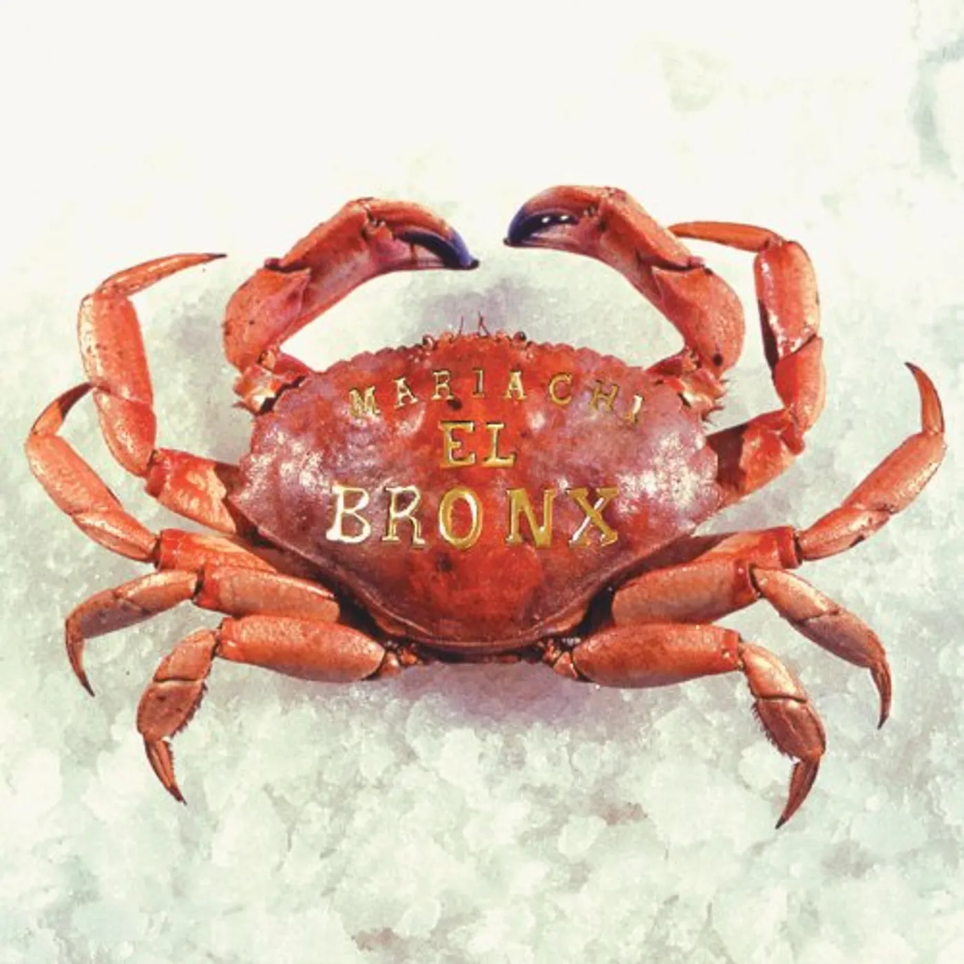 Mariachi El Bronx III Vinyl Record