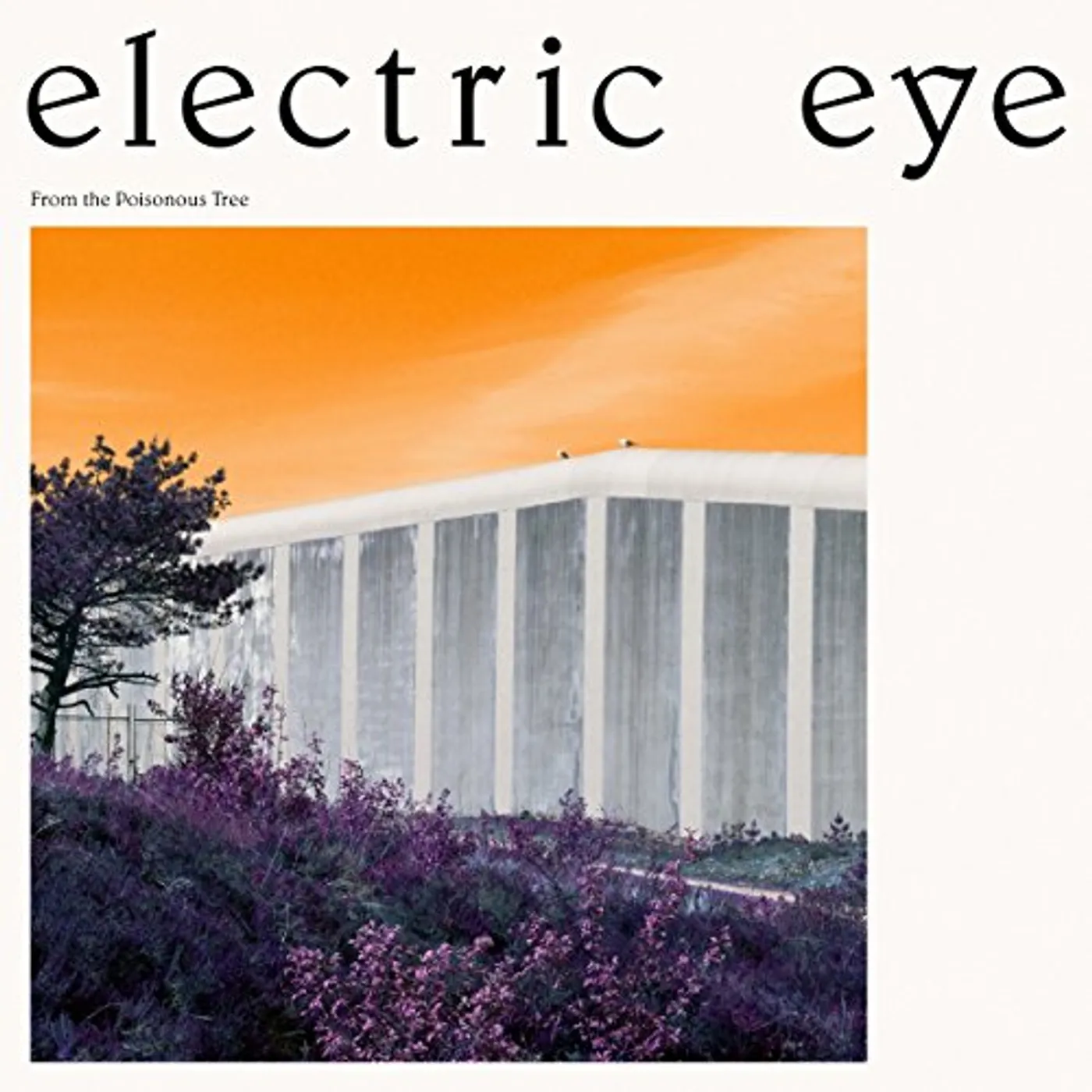Electric Eye FROM THE POISONOUS TREE CD
