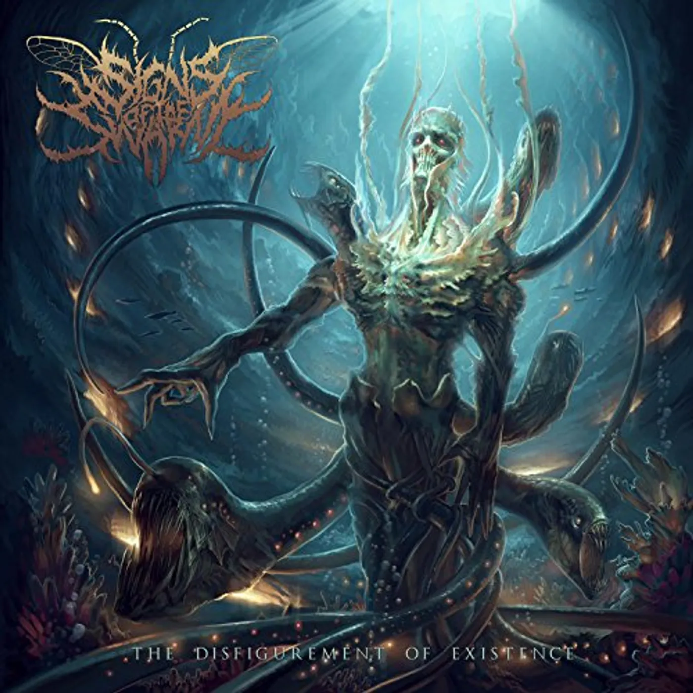 Signs of the Swarm DISFIGUREMENT OF EXISTENCE Vinyl Record