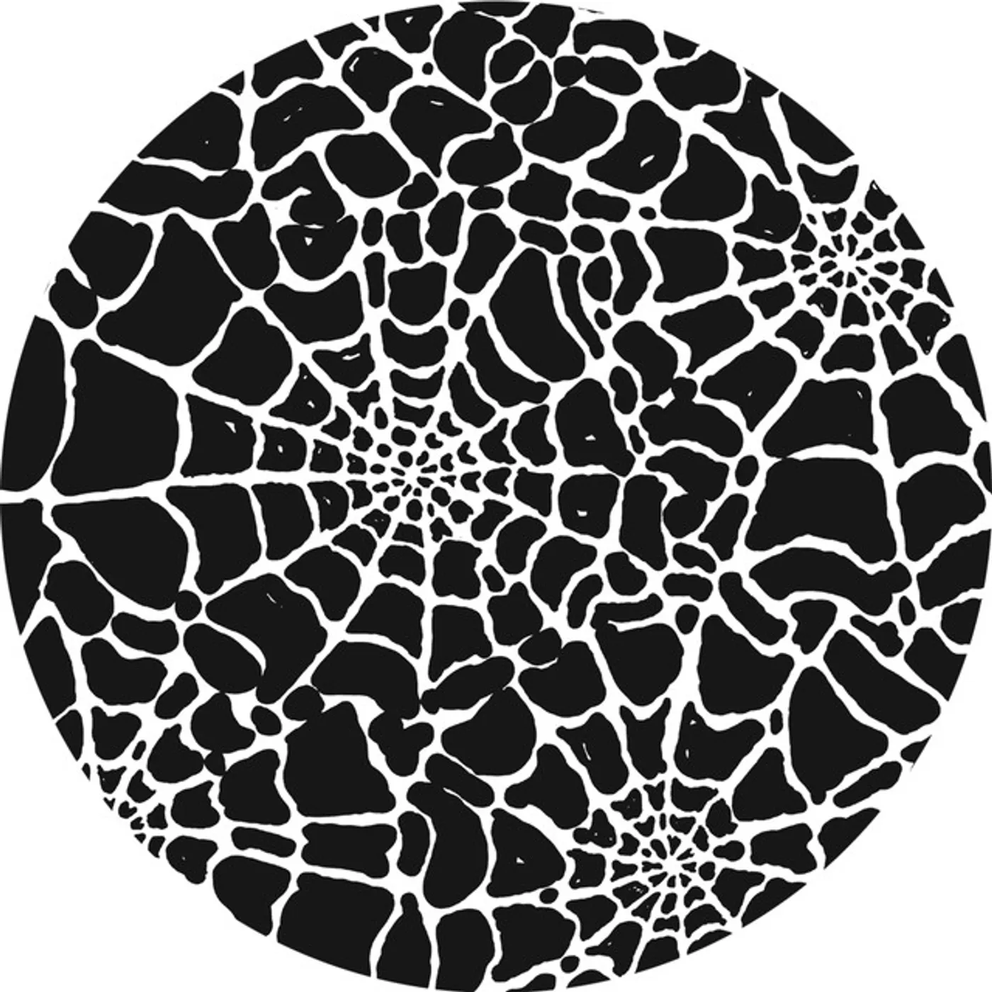 Boot & Tax SPAZIO Vinyl Record