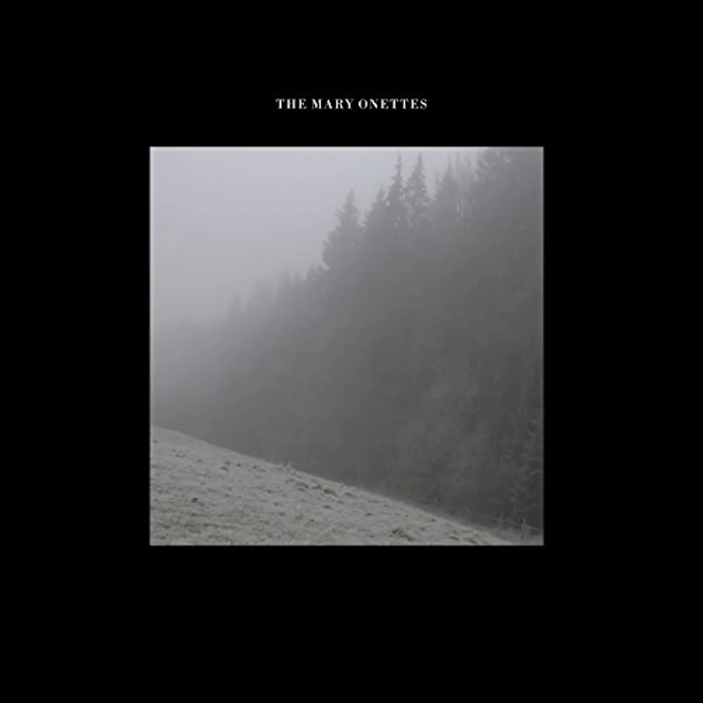 The Mary Onettes Vinyl Record