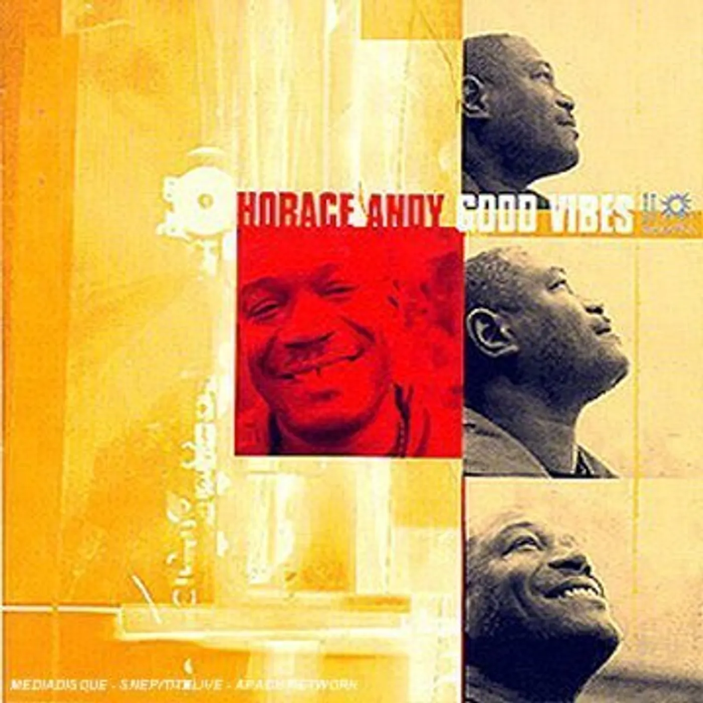 Horace Andy Good Vibes Vinyl Record