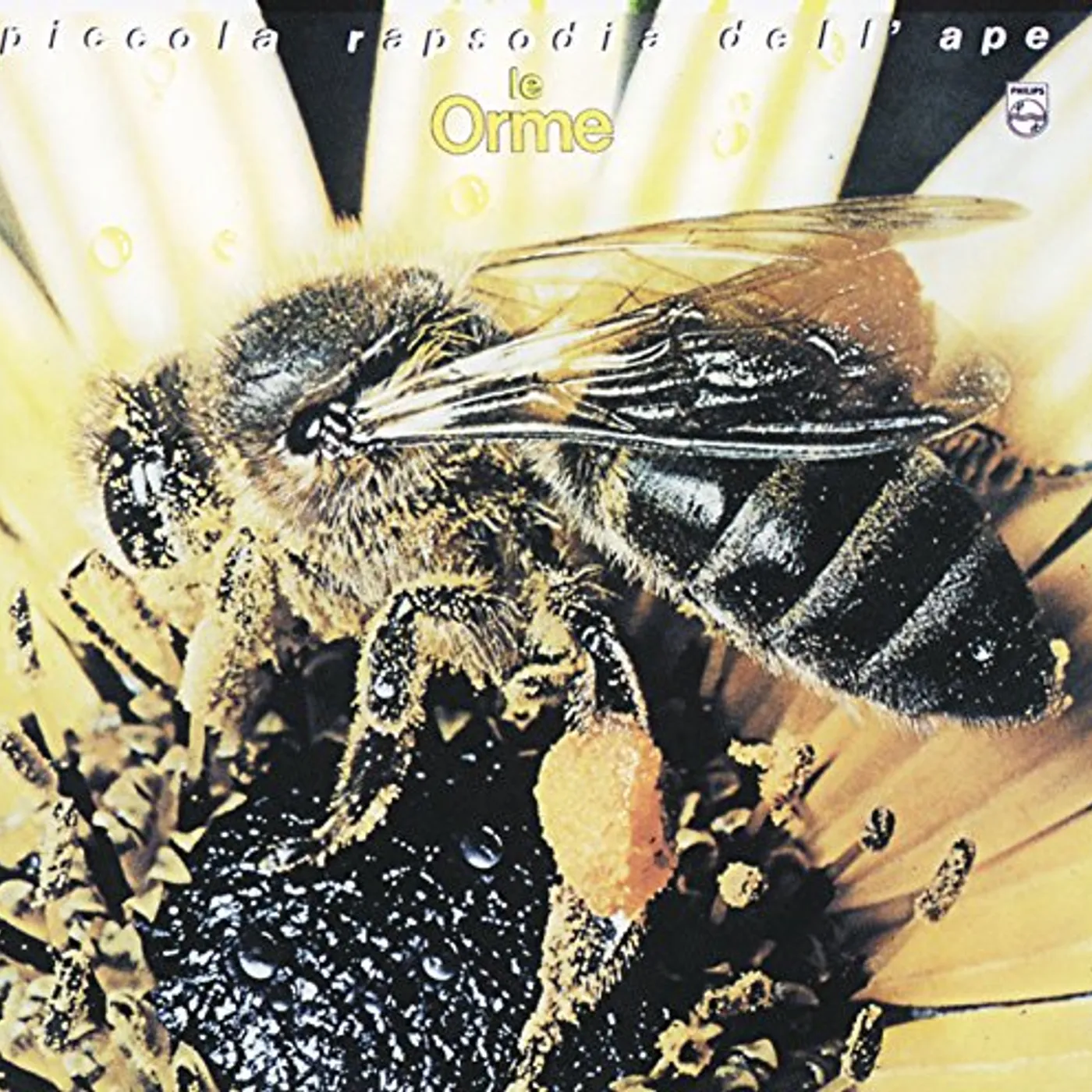 Orme PICCOLA RAPSODIA DELL'APE (COLORED) Vinyl Record